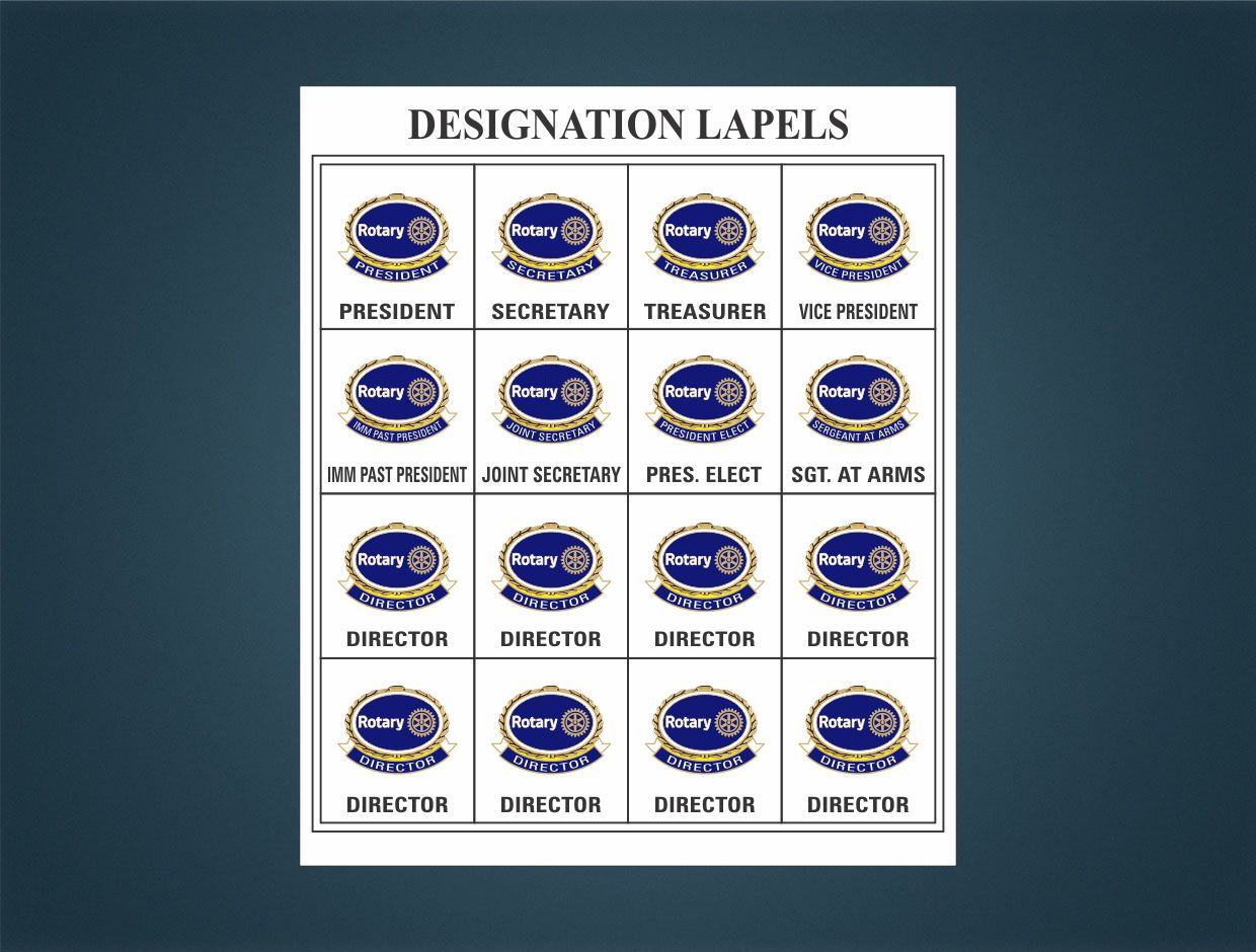 Rotary Designations Lapel Pins (Set Of 16)